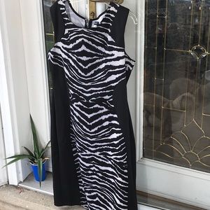 Zebra print contoured front and back